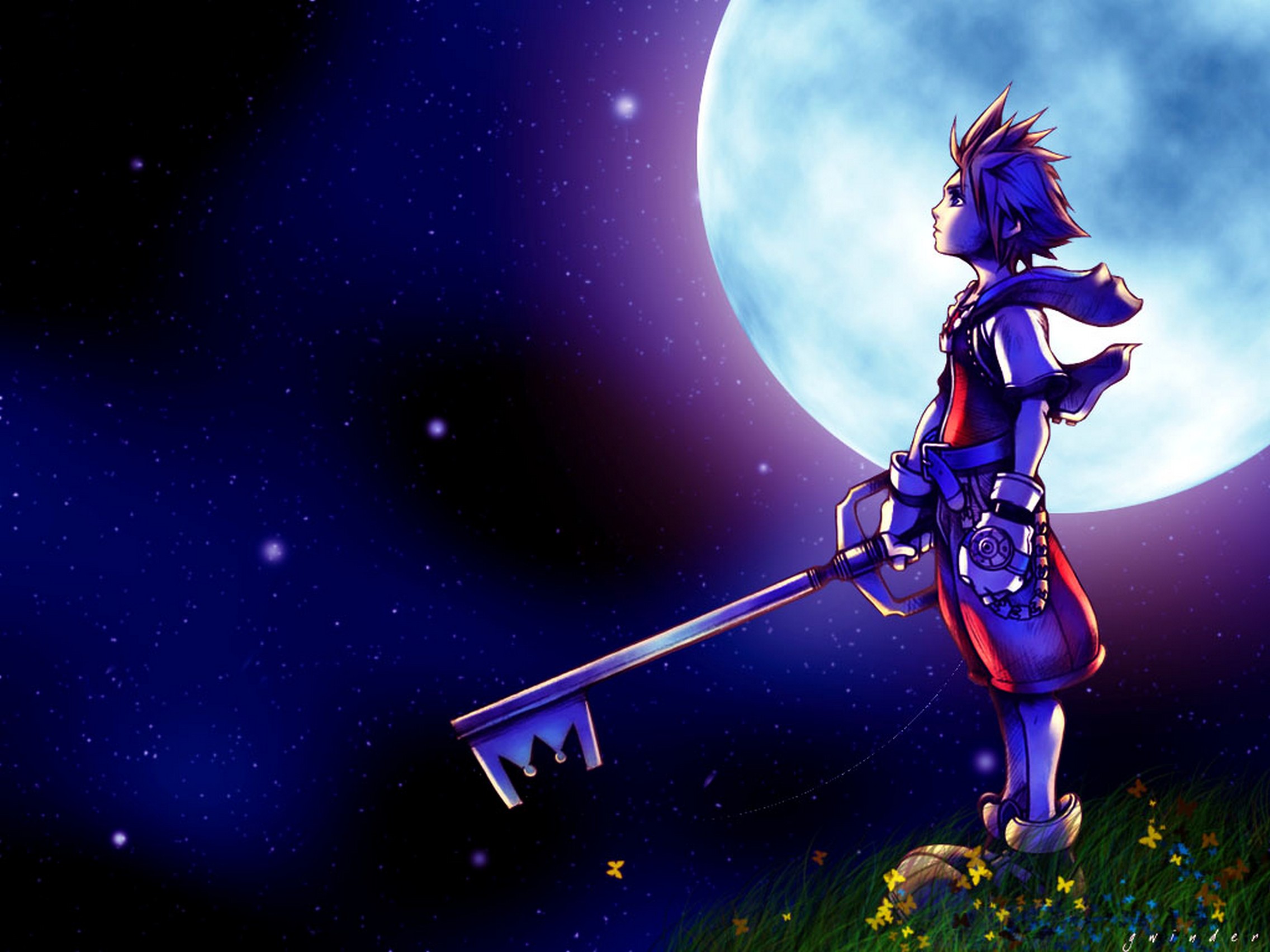 kingdom_hearts_sora_grass_moon.jpg