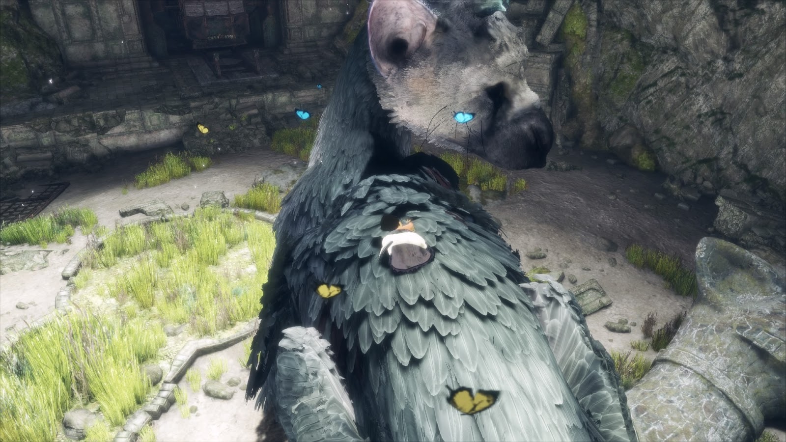 Desenvolvimento de The Last Guardian é finalizado