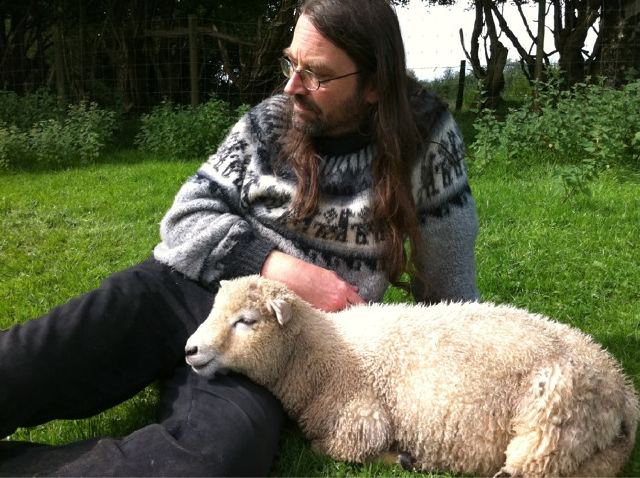 Jeff e ovelha